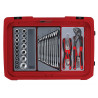 Teng SC01 Flight Style Carry Case Kit, 113 Piece