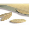 Trend C152X1/4TC C152 x 1/4 TCT Bearing Guided Biscuit Jointer 4.0 x 37.2mm