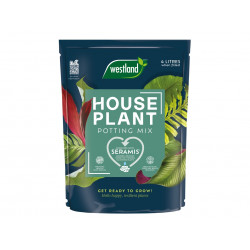 Westland 10200085 Houseplant Potting Mix 4 litre