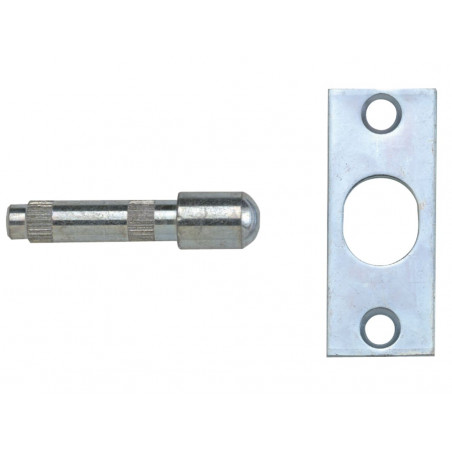 Yale Locks 710125005165 P125 Hinge Bolts Brass