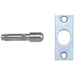 Yale Locks 710125005168 P125 Hinge Bolts Zinc