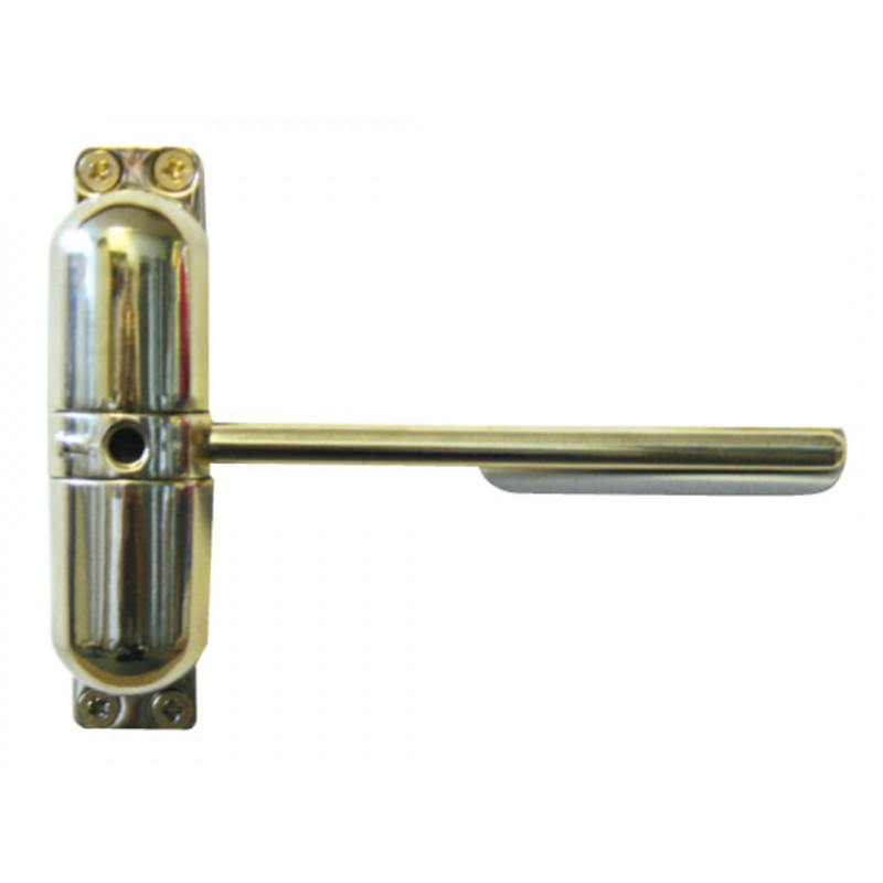 Yale Locks P-YSMDC-WH P-YSMDC Surface Mounted Door Closer White