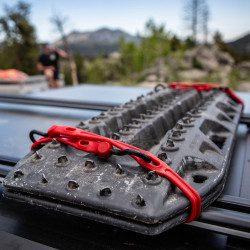 The Perfect Bungee Cords (AS36R4PK-BXST)