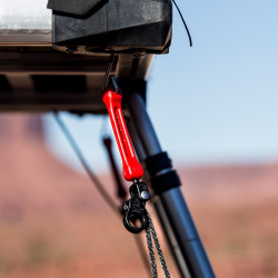 The Perfect Bungee Tie Downs PTDBL2PK