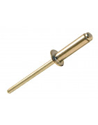 Rivets