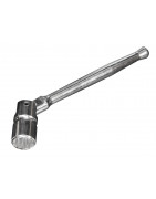Scaffold Spanners