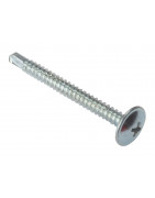 Window Screws