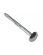 Mirror Screws