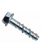 Screw Bolts