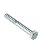 Hex Head Bolts
