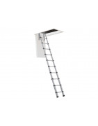 Loft Ladders